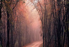 布拉格斯巴达主场战胜希伯尼亚，取得欧洲联赛首胜