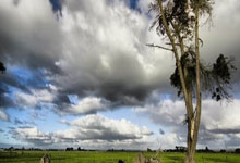 比利时克罗地亚战平难分胜负