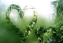 梅因茨取得关键胜利，逼近保级成功