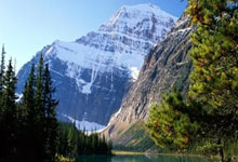 波黑法国大战比赛节奏火爆