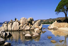 英超豪门挖角意甲球星，意图取得竞争优势